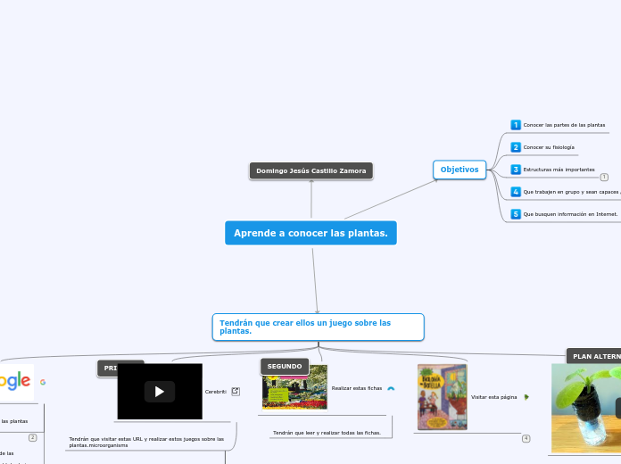 Sample Mind Map