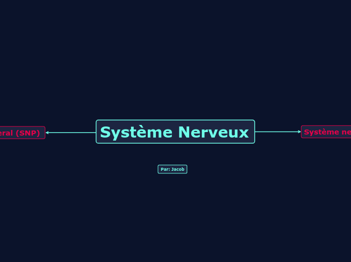 Système Nerveux