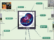 Cell analogy