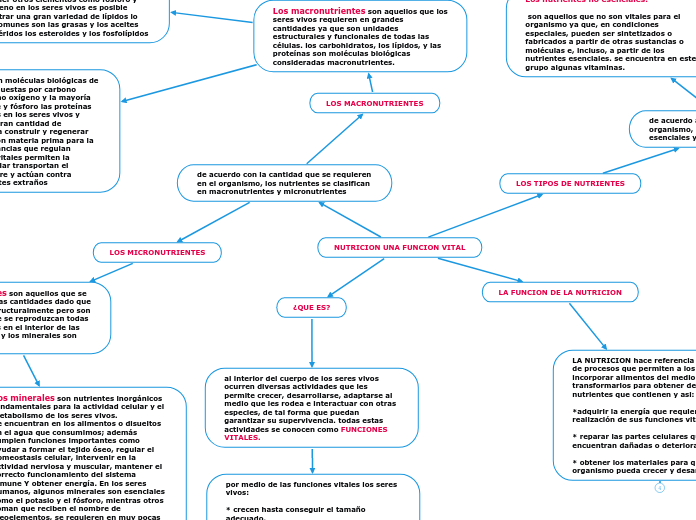 NUTRICION UNA FUNCION VITAL
