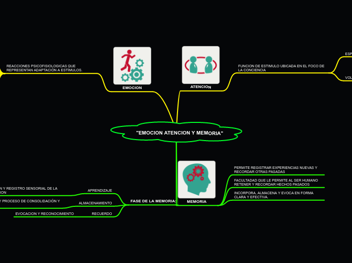 "EMOCION ATENCION Y MEMORIA"