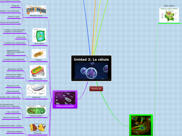 Unidad 2: La célula