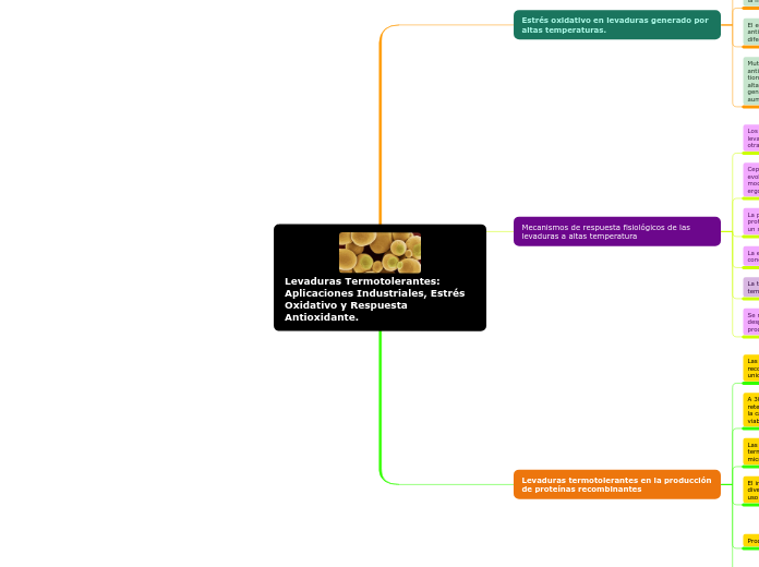 Organigrama arbol