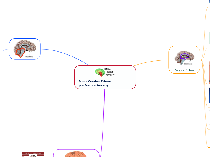Mapa Cerebro Triuno,                     por Marcos Serrano