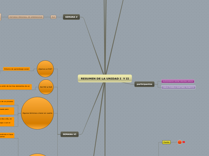 RESUMEN DE LA UNIDAD I  Y II