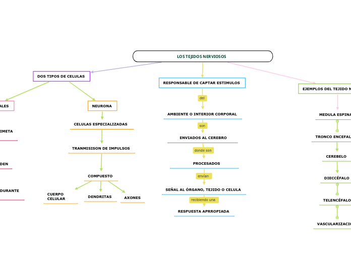                                    LOS TEJIDOS NERVIOSOS 