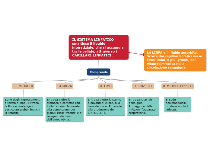 IL SISTEMA LINFATICO smaltisce il liquido interstiziale, che si accumula tra le cellule, attraverso i CAPILLARI LINFATICI.