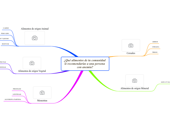 ¿Qué alimentos de tu comunidad le recomendarías a una persona con anemia?
