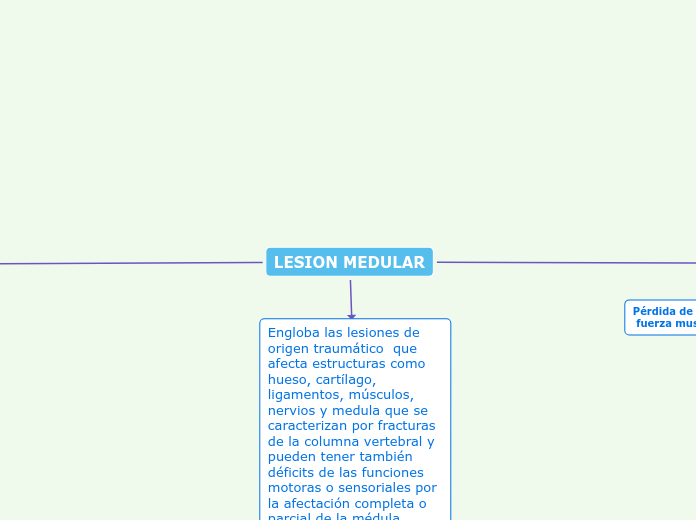 LESION MEDULAR