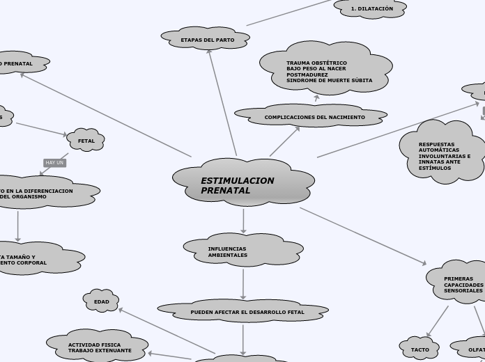 ESTIMULACION PRENATAL MAPA MENTAL