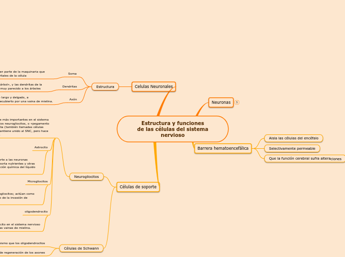 Estructura y funciones
 de las células del sistema nervioso