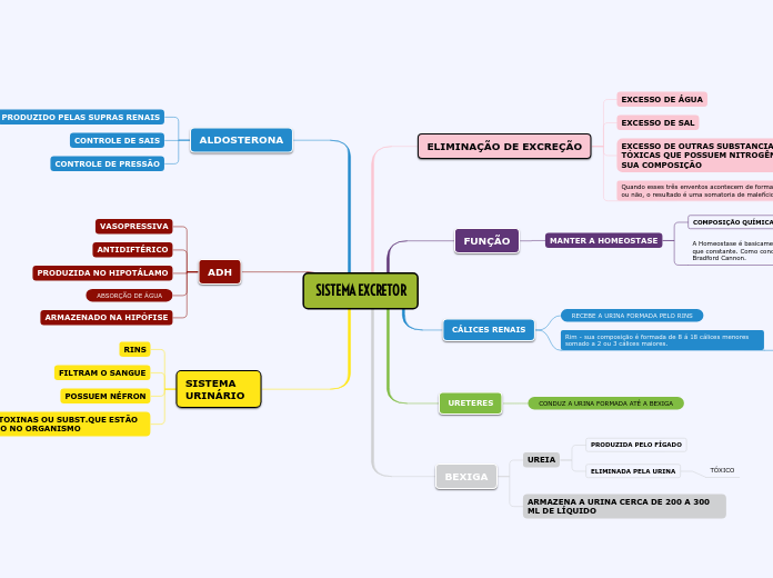 SISTEMA EXCRETOR
