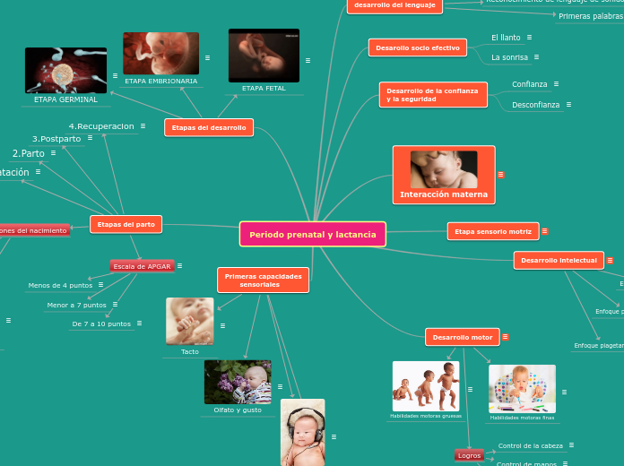 Periodo prenatal y lactancia