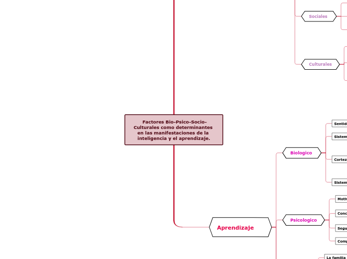  Factores Bio-Psico-Socio-Culturales como determinantes 
en las manifestaciones de la inteligencia y el aprendizaje.