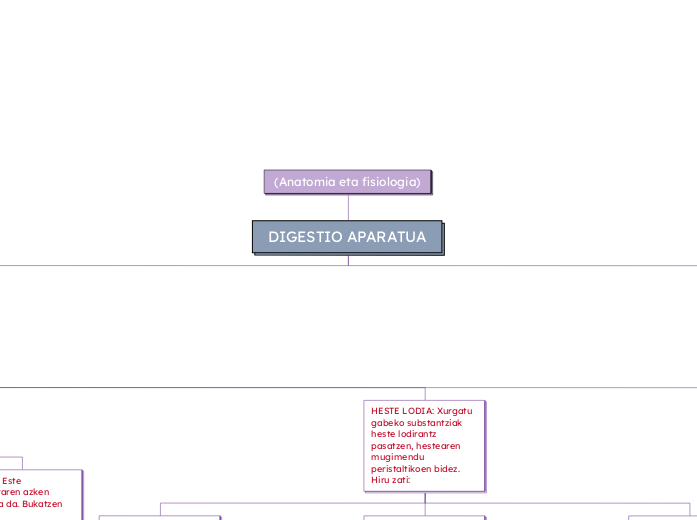 (Anatomia eta fisiologia)