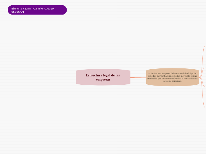 Estructura legal de las empresas