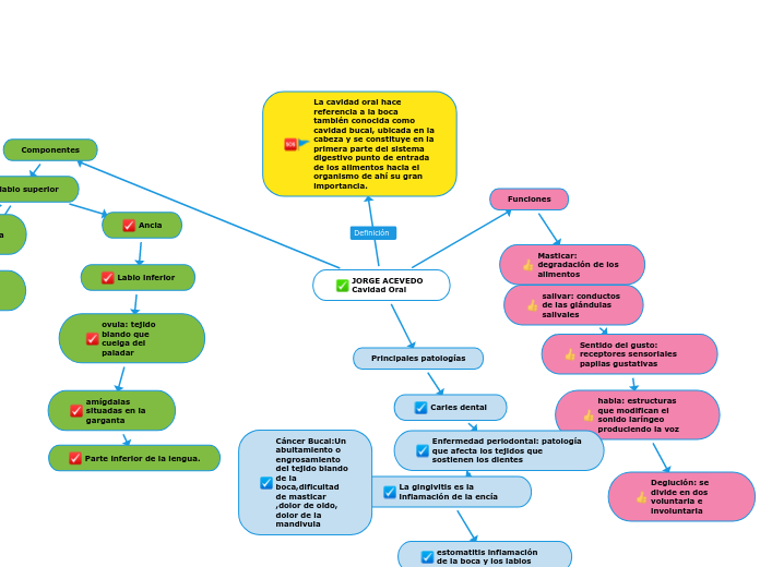 JORGE ACEVEDO Cavidad Oral