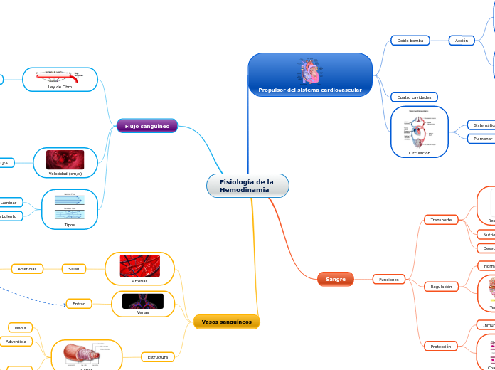 Fisiología de la Hemodinamia