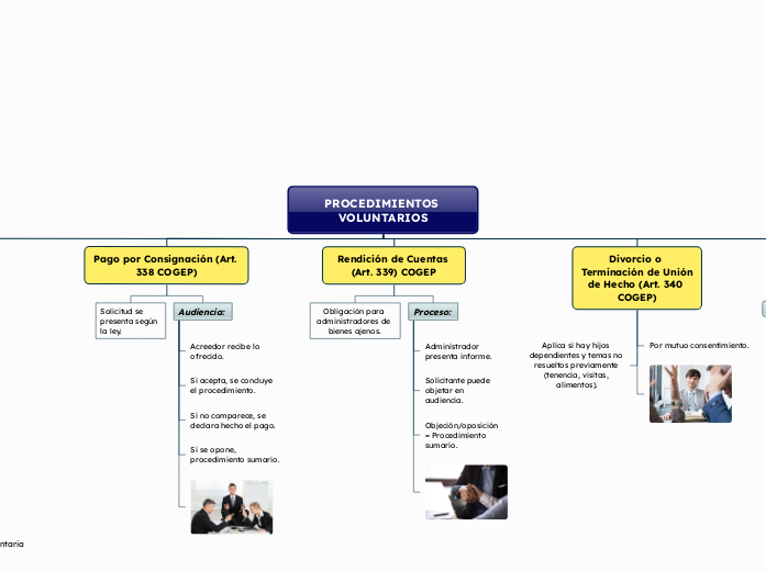 PROCEDIMIENTOS VOLUNTARIOS