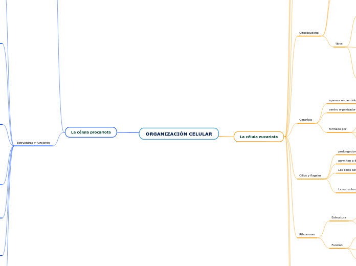 ORGANIZACIÓN CELULAR