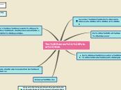 Sample Mind Map