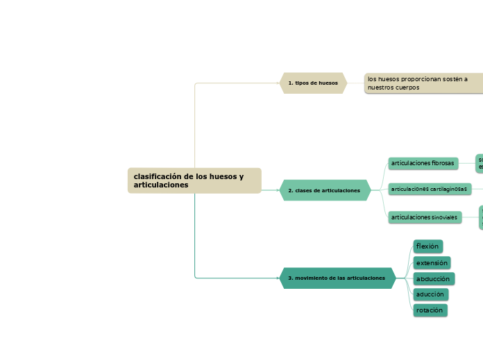 clasificación de los huesos y articulaciones  