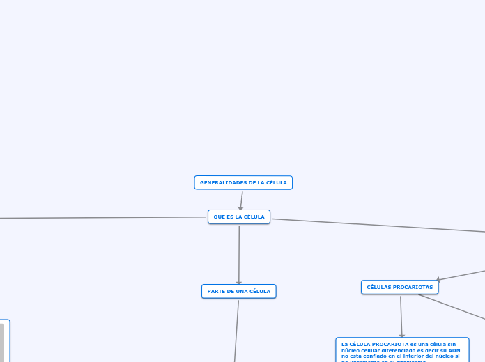 GENERALIDADES DE LA CÉLULA