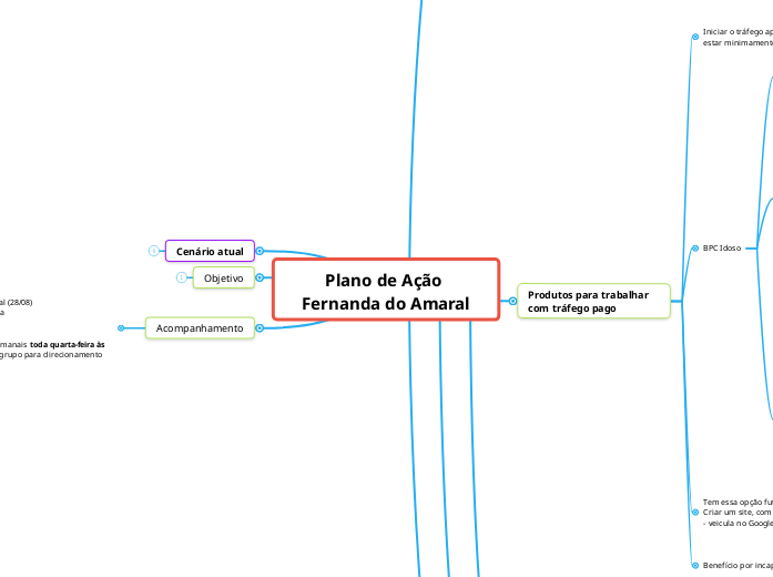 Plano de Ação 
Fernanda do Amaral
