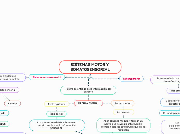 SISTEMAS MOTOR Y SOMATOSENSORIAL