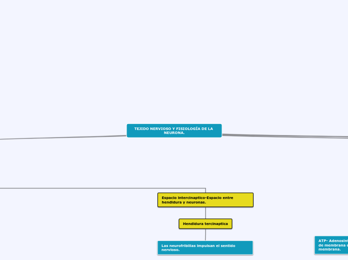 TEJIDO NERVIOSO Y FISIOLOGÍA DE LA NEURONA.
