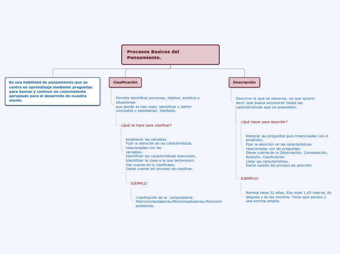 Organigrama Arbol