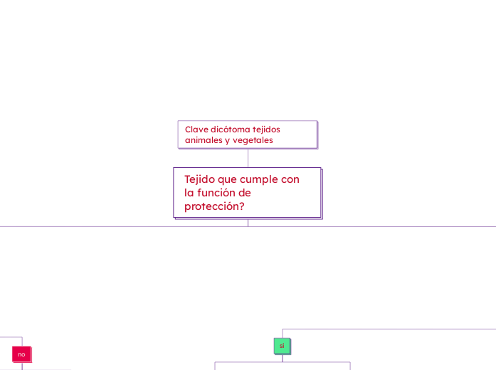 Clave dicótoma tejidos animales y vegetales