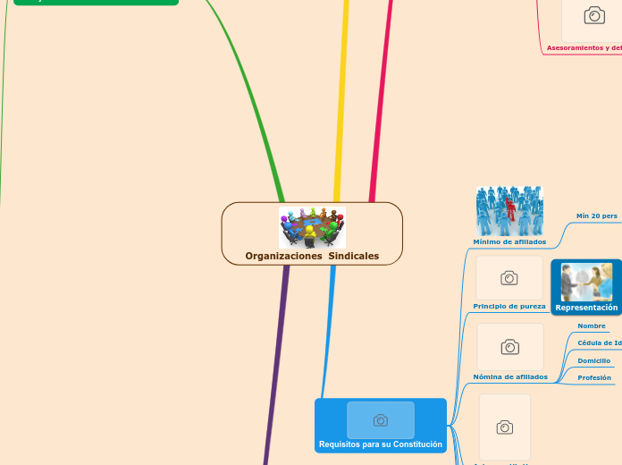 Organizaciones  Sindicales