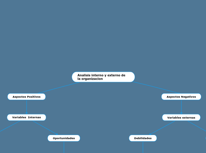 Analisis interno y externo de la organizacion