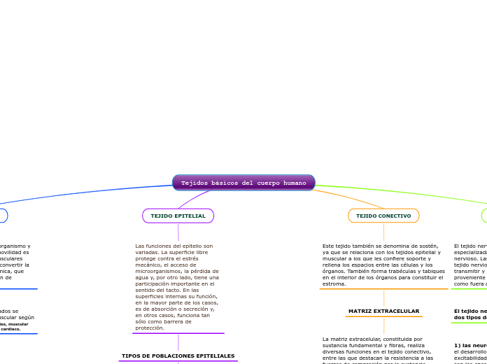 Tejidos básicos del cuerpo humano
