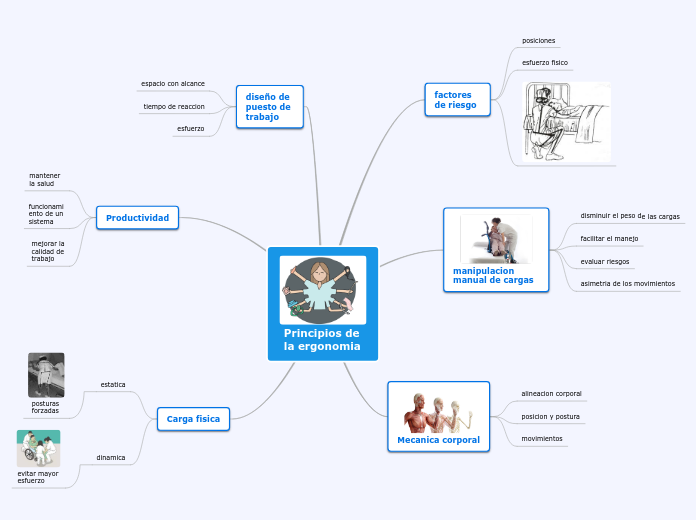 principios de ergonomia