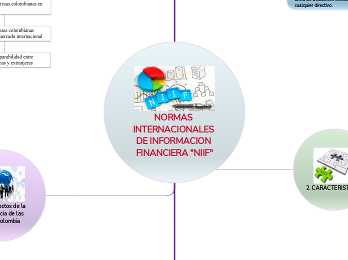 NORMAS INTERNACIONALES DE INFORMACION FINANCIERA 