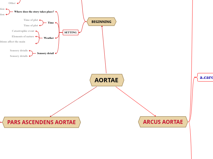 AORTAE