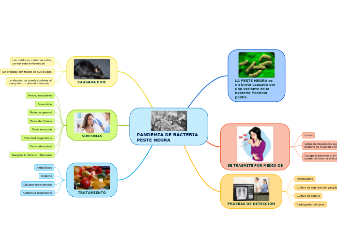 PANDEMIA DE BACTERIA PESTE NEGRA
