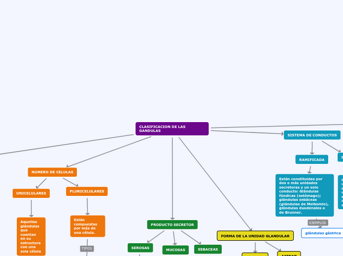 CLASIFICACION DE LAS GANDULAS