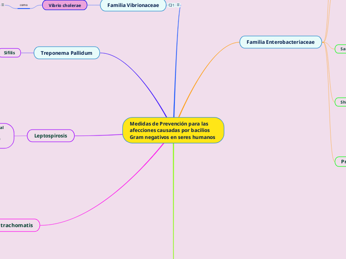 Medidas de Prevención para las afecciones causadas por bacilios Gram negativos en seres humanos
