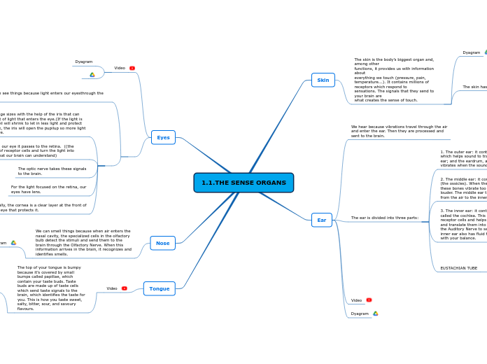 1.1.THE SENSE ORGANS