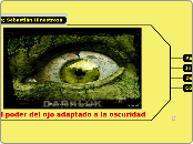 200720831. El poder del ojo adaptado a la oscuridad