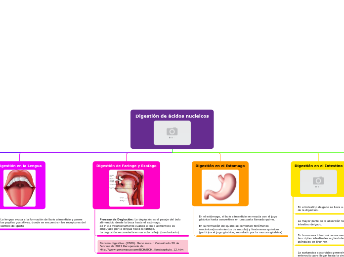 Diagrama de ácidos nucleicos