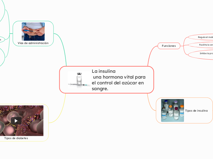 La insulina
 una hormona vital para el control del azúcar en sangre.