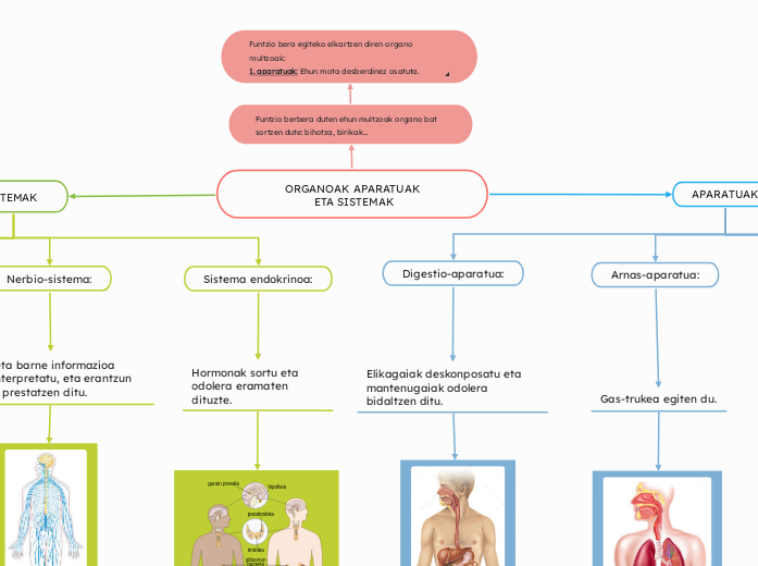 ORGANOAK APARATUAK
 ETA SISTEMAK