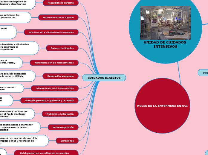ENFERMERIA EN LA UNIDAD DE CUIDADOS INTENSIVOS 