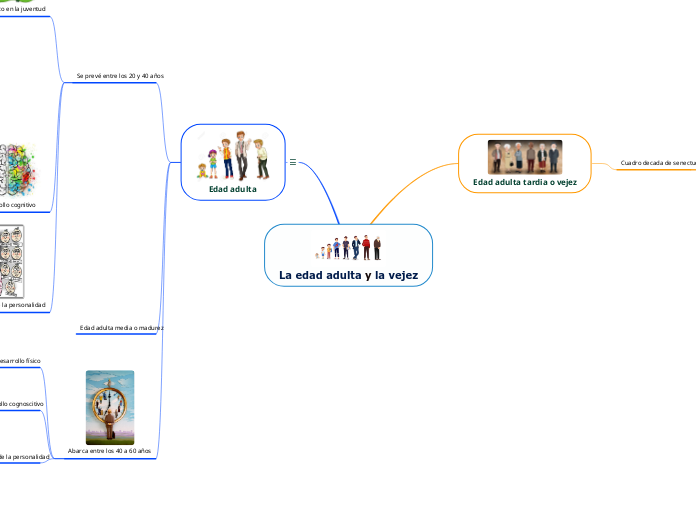 La edad adulta y la vejez