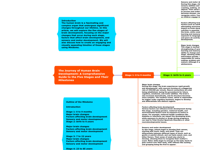 The Journey of Human Brain Development: A Comprehensive Guide to the Five Stages and Their Milestones