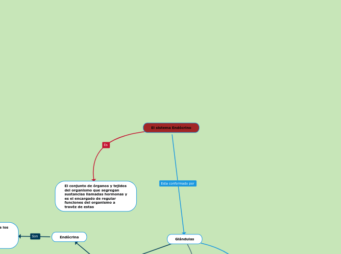 El sistema Endócrino